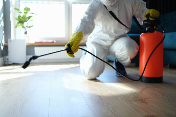 Trusted Dunwoody, GA Pest Control Experts