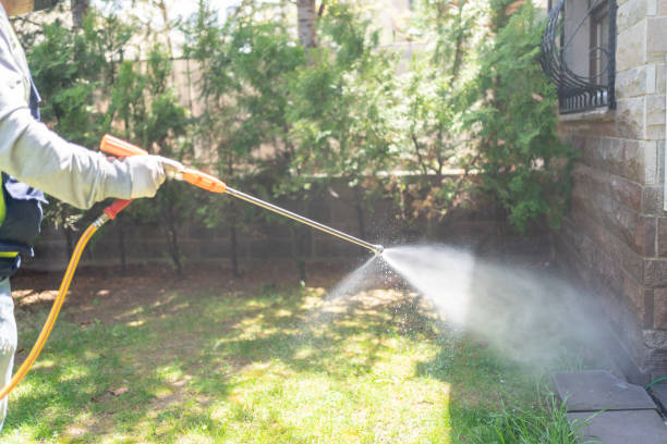 Best Pest Control Near Me in Dunwoody, GA