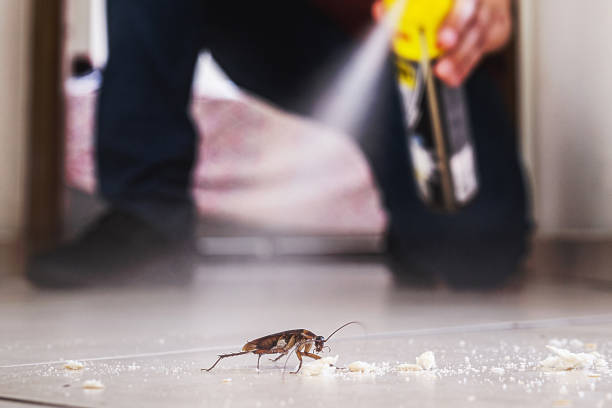 Best Commercial Pest Control Services  in Dunwoody, GA