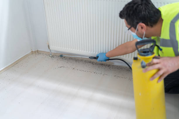 Best Ant Control Services  in Dunwoody, GA